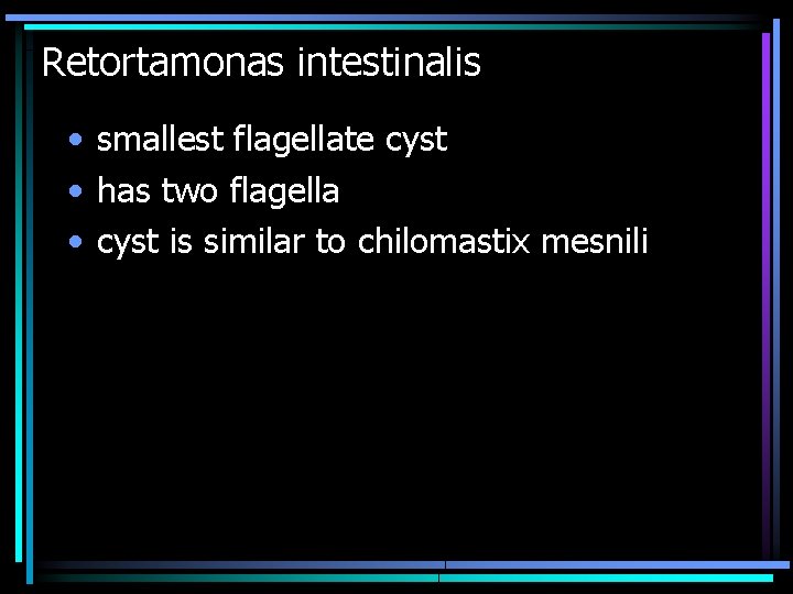 Retortamonas intestinalis • smallest flagellate cyst • has two flagella • cyst is similar