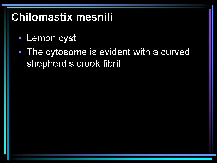 Chilomastix mesnili • Lemon cyst • The cytosome is evident with a curved shepherd’s