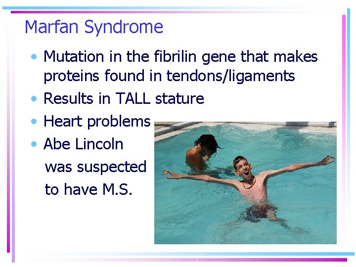 Marfan Syndrome • Mutation in the fibrilin gene that makes proteins found in tendons/ligaments