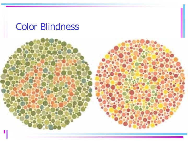 Color Blindness 