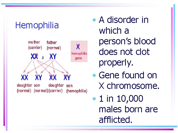 Hemophilia • A disorder in which a person’s blood does not clot properly. •