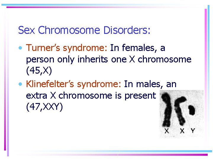 Sex Chromosome Disorders: • Turner’s syndrome: In females, a person only inherits one X