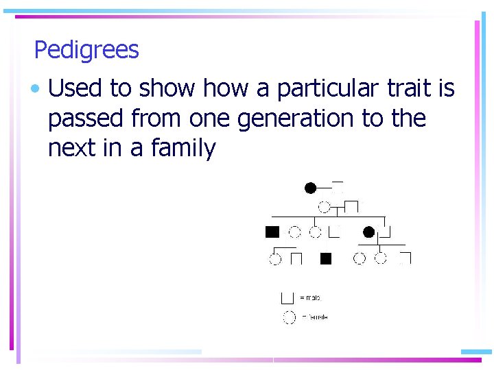 Pedigrees • Used to show a particular trait is passed from one generation to