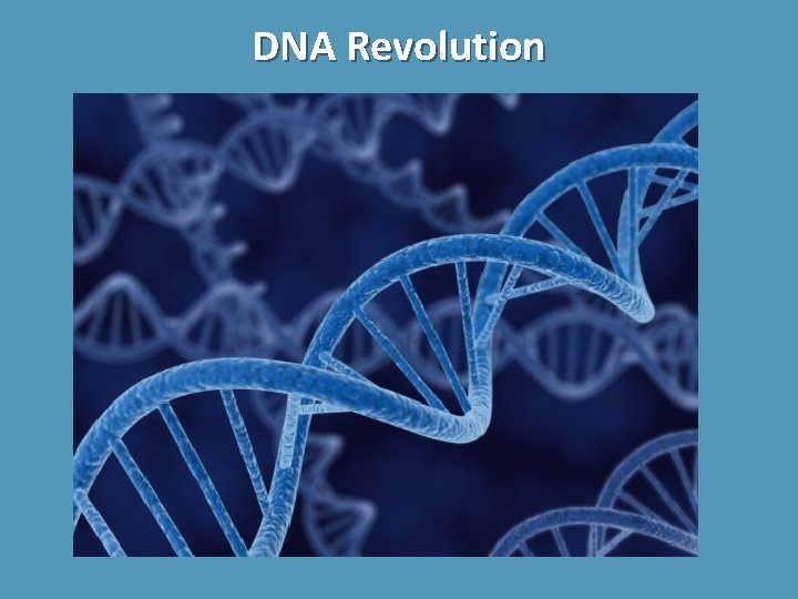 DNA Revolution 