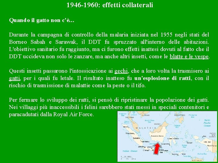 1946 -1960: effetti collaterali Quando il gatto non c'è… Durante la campagna di controllo