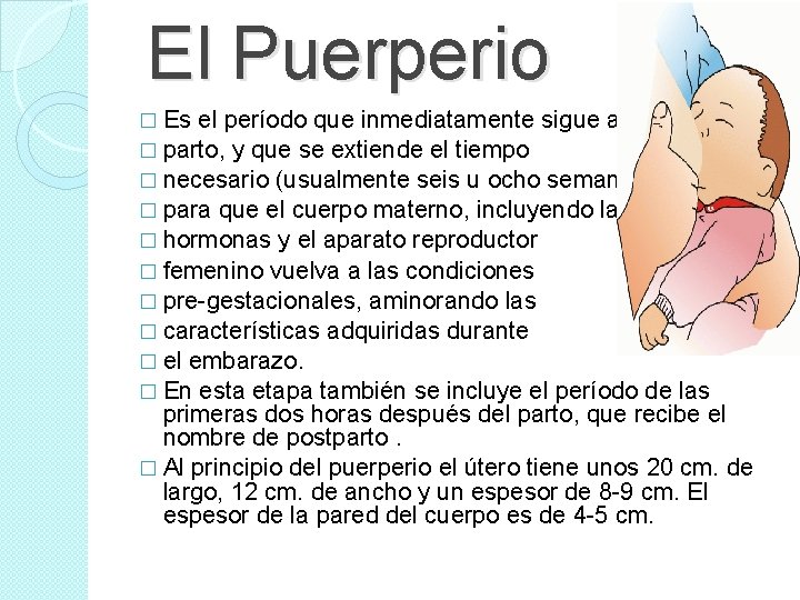 El Puerperio � Es el período que inmediatamente sigue al � parto, y El Puerperio � Es el período que inmediatamente sigue al � parto, y