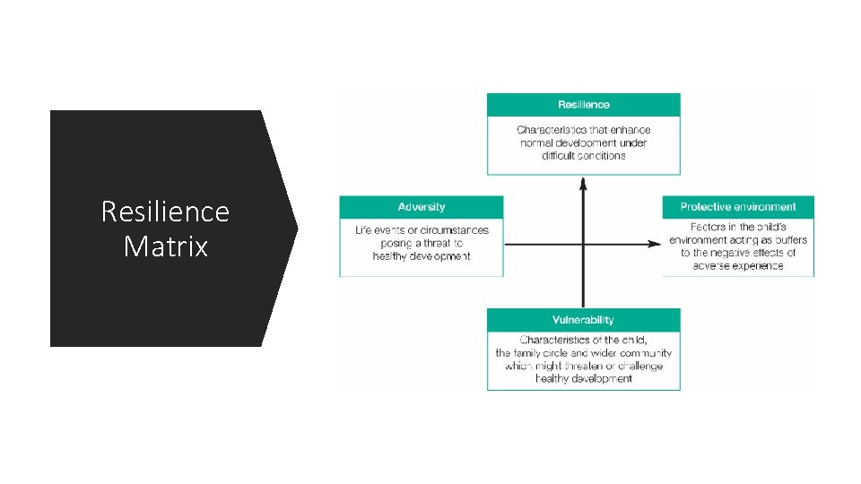 Resilience Matrix 