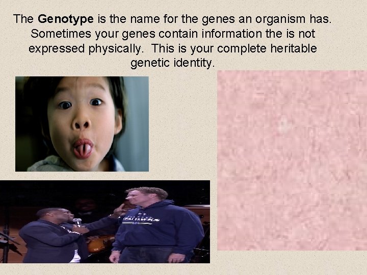 The Genotype is the name for the genes an organism has. Sometimes your genes