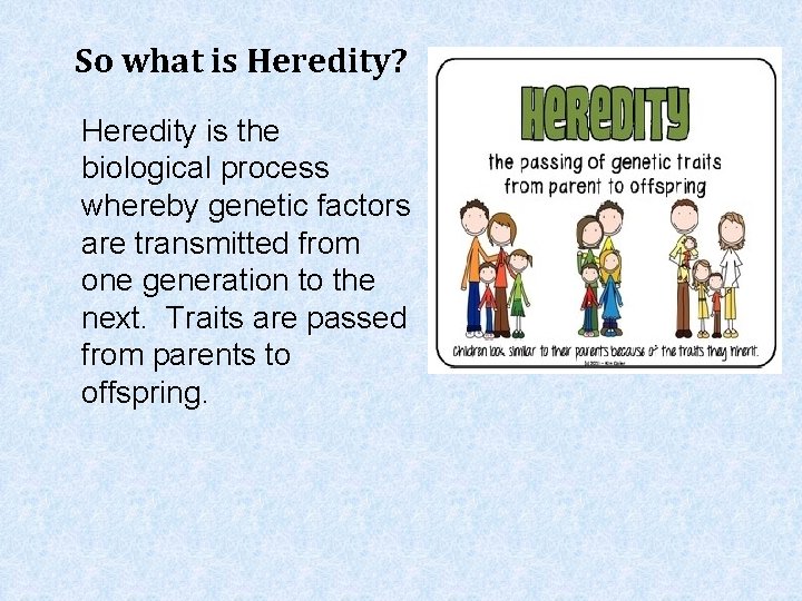 So what is Heredity? Heredity is the biological process whereby genetic factors are transmitted