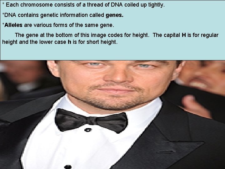 * Each chromosome consists of a thread of DNA coiled up tightly. *DNA contains