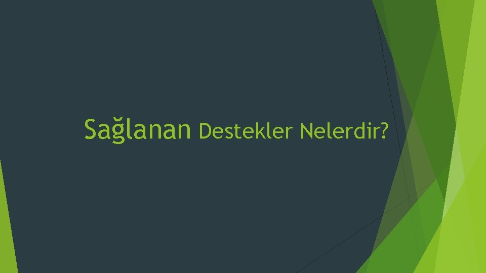 Sağlanan Destekler Nelerdir? 