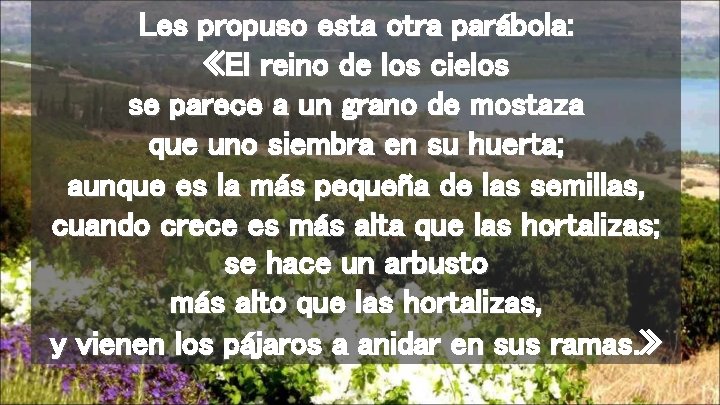 Les propuso esta otra parábola: «El reino de los cielos se parece a un