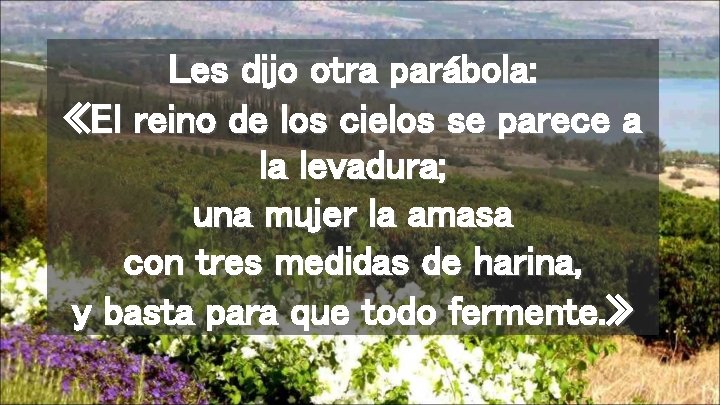 Les dijo otra parábola: «El reino de los cielos se parece a la levadura;