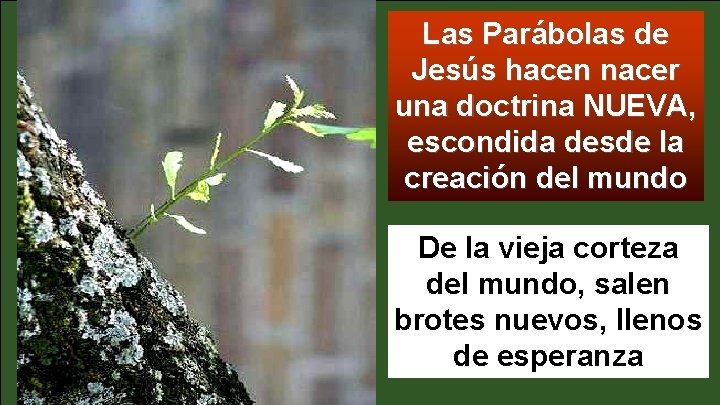 Las Parábolas de Jesús hacen nacer una doctrina NUEVA, escondida desde la creación del