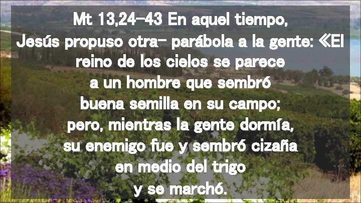 Mt 13, 24 -43 En aquel tiempo, Jesús propuso otra- parábola a la gente: