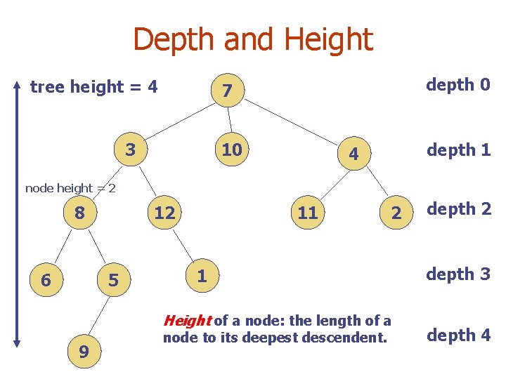 Depth and Height tree height = 4 depth 0 7 3 10 depth 1