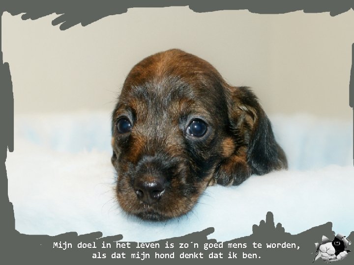 Mijn doel in het leven is zo´n goed mens te worden, als dat mijn