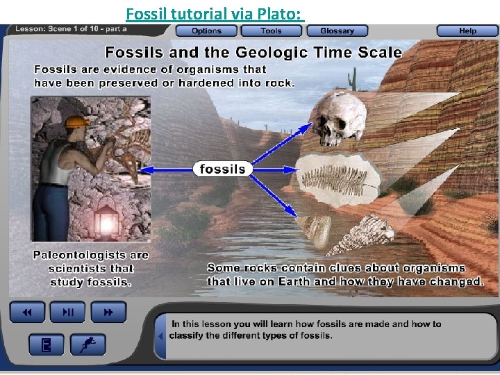 Fossil tutorial via Plato: Fossil tutorial via Plato: