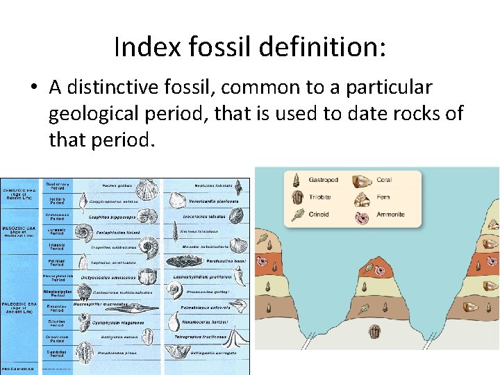 Index fossil definition: • A distinctive fossil, common to a particular geological period, that Index fossil definition: • A distinctive fossil, common to a particular geological period, that