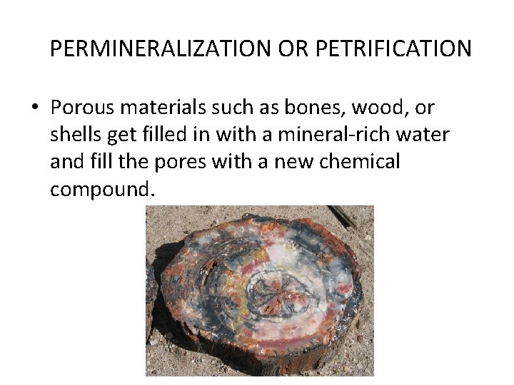 PERMINERALIZATION OR PETRIFICATION • Porous materials such as bones, wood, or shells get filled PERMINERALIZATION OR PETRIFICATION • Porous materials such as bones, wood, or shells get filled