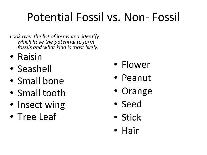 Potential Fossil vs. Non- Fossil Look over the list of items and identify which Potential Fossil vs. Non- Fossil Look over the list of items and identify which