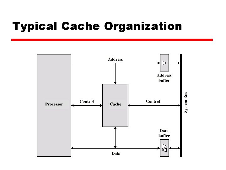 Typical Cache Organization 