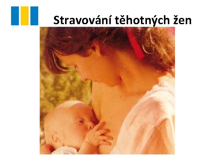 Stravování těhotných žen 