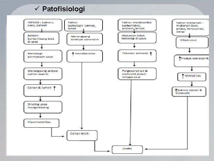 ü Patofisiologi 