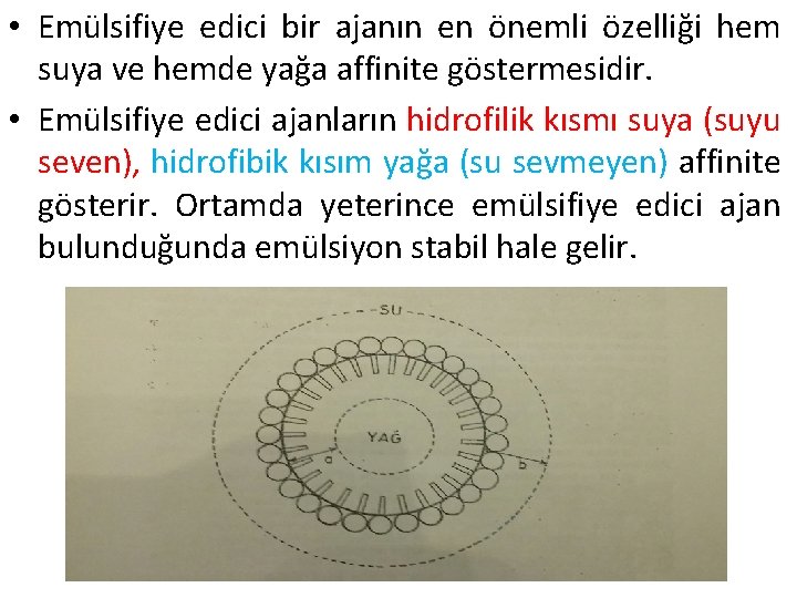  • Emülsifiye edici bir ajanın en önemli özelliği hem suya ve hemde yağa