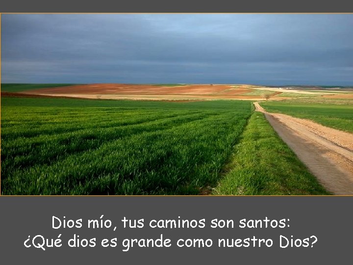 Dios mío, tus caminos son santos: ¿Qué dios es grande como nuestro Dios? 