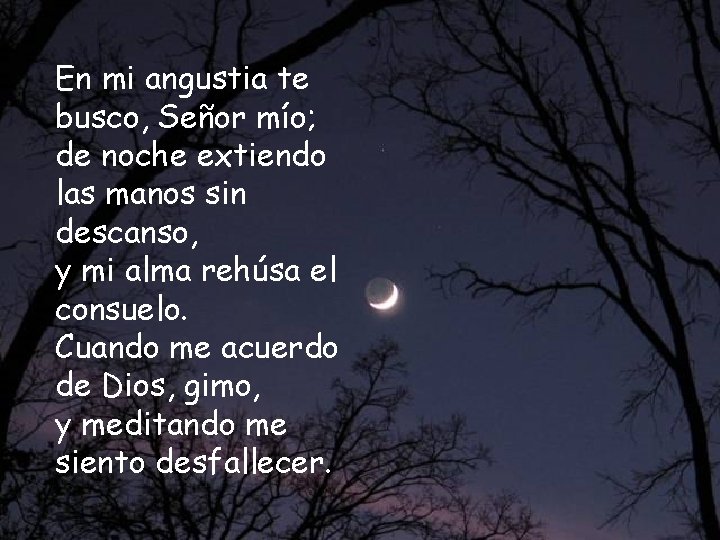 En mi angustia te busco, Señor mío; de noche extiendo las manos sin descanso,