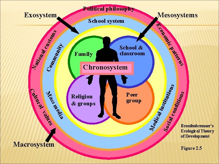 Political philosophy Exosystem School system ms uni t y sto mm ern na l