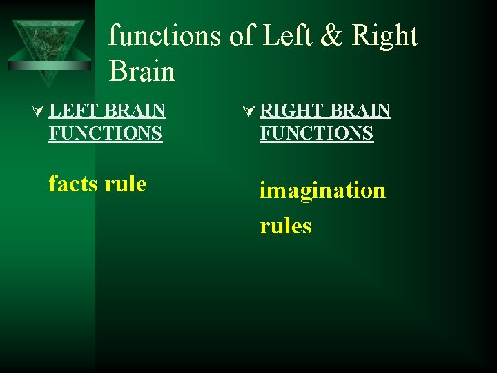 functions of Left & Right Brain Ú LEFT BRAIN Ú RIGHT BRAIN FUNCTIONS facts