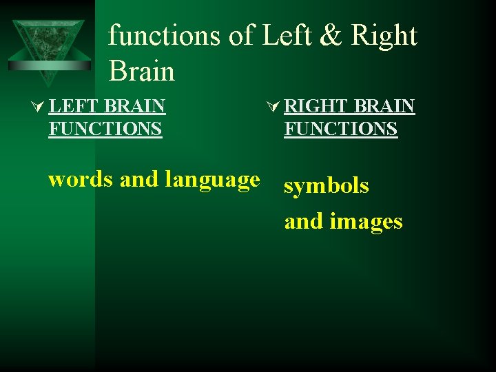 functions of Left & Right Brain Ú LEFT BRAIN Ú RIGHT BRAIN FUNCTIONS words