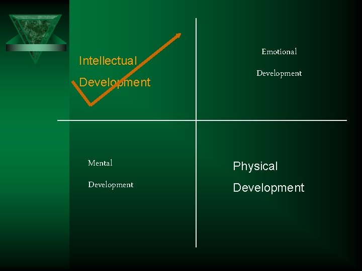 Intellectual Development Emotional Development Mental Physical Development 