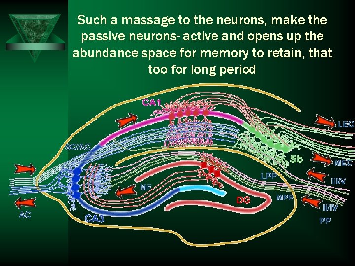 Such a massage to the neurons, make the passive neurons- active and opens up