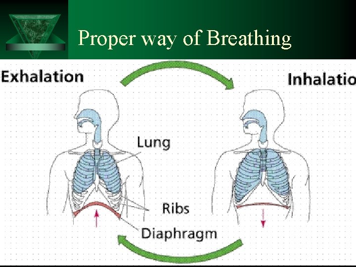 Proper way of Breathing 