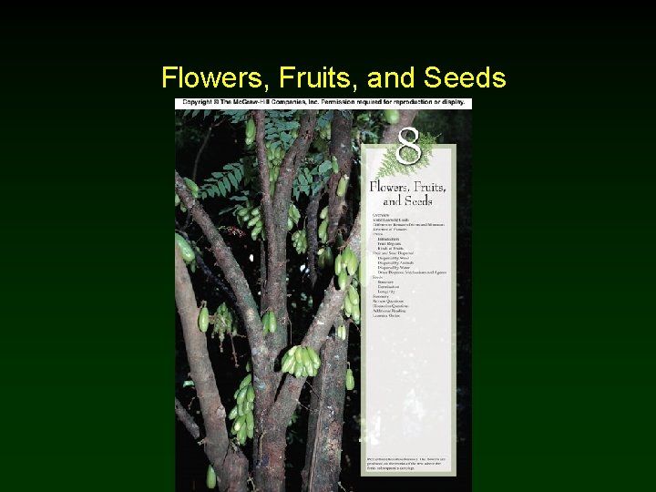Flowers, Fruits, and Seeds Flowers, Fruits, and Seeds