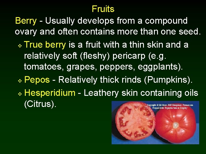 Fruits Berry - Usually develops from a compound ovary and often contains more than Fruits Berry - Usually develops from a compound ovary and often contains more than