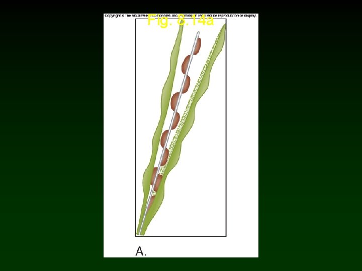 Fig. 8. 14 a Fig. 8. 14 a