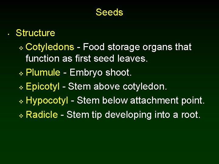 Seeds • Structure v Cotyledons - Food storage organs that function as first seed Seeds • Structure v Cotyledons - Food storage organs that function as first seed