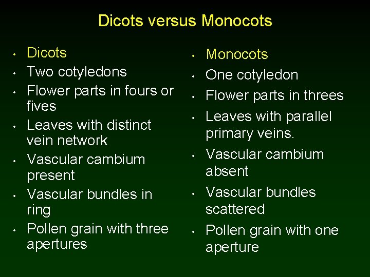 Dicots versus Monocots • • Dicots Two cotyledons Flower parts in fours or fives Dicots versus Monocots • • Dicots Two cotyledons Flower parts in fours or fives