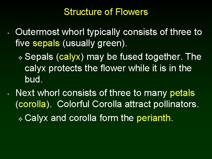 Structure of Flowers • • Outermost whorl typically consists of three to five sepals Structure of Flowers • • Outermost whorl typically consists of three to five sepals