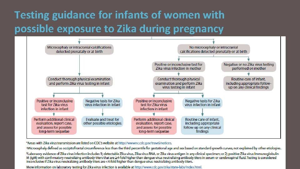 Testing guidance for infants of women with possible exposure to Zika during pregnancy 