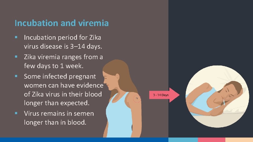 Incubation and viremia § Incubation period for Zika virus disease is 3– 14 days.