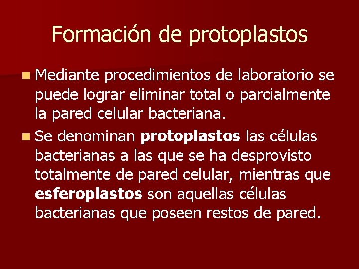 Formación de protoplastos n Mediante procedimientos de laboratorio se puede lograr eliminar total o