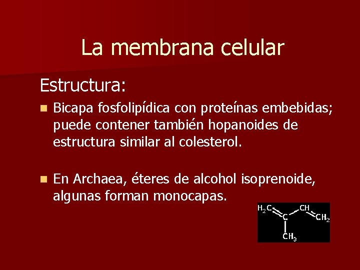 La membrana celular Estructura: n Bicapa fosfolipídica con proteínas embebidas; puede contener también hopanoides