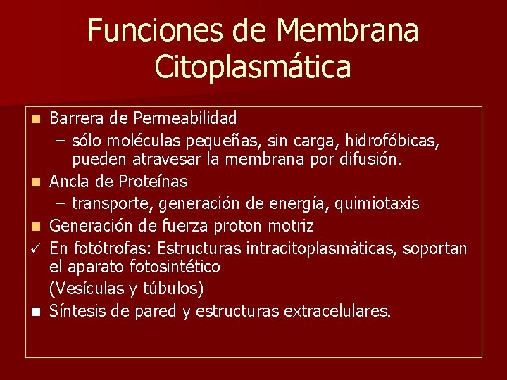 Funciones de Membrana Citoplasmática n n n ü n Barrera de Permeabilidad – sólo