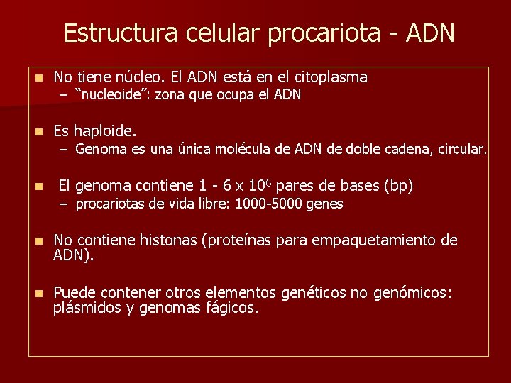 Estructura celular procariota - ADN n No tiene núcleo. El ADN está en el