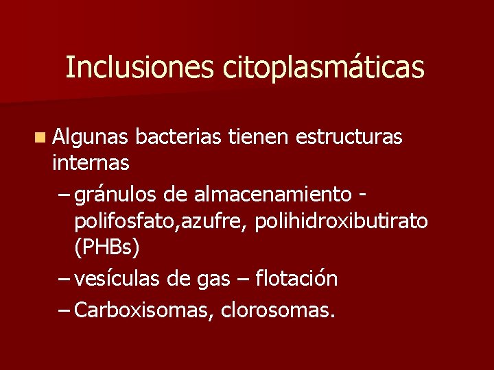 Inclusiones citoplasmáticas n Algunas bacterias tienen estructuras internas – gránulos de almacenamiento polifosfato, azufre,